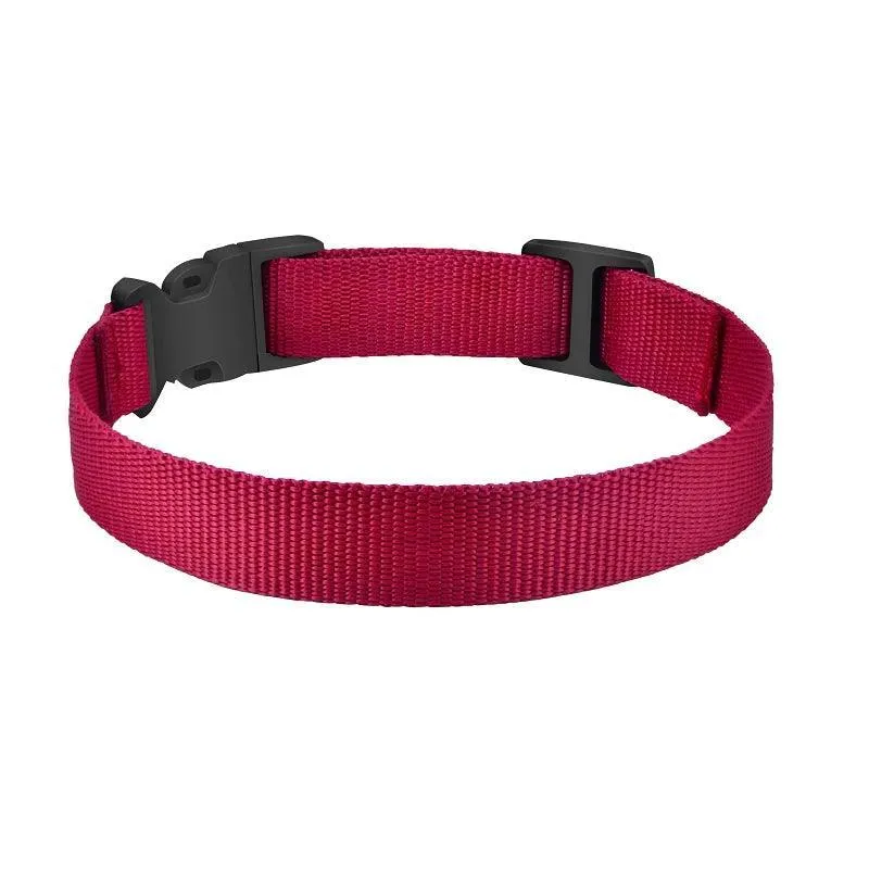 Adjustable Waterproof Reflective Dog Collar: Safety for Outdoor Adventures