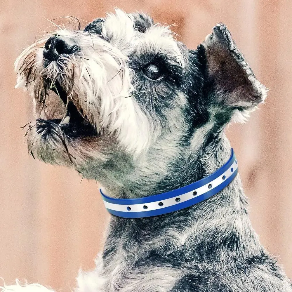 Adjustable Waterproof Reflective Dog Collar: Safety for Outdoor Adventures
