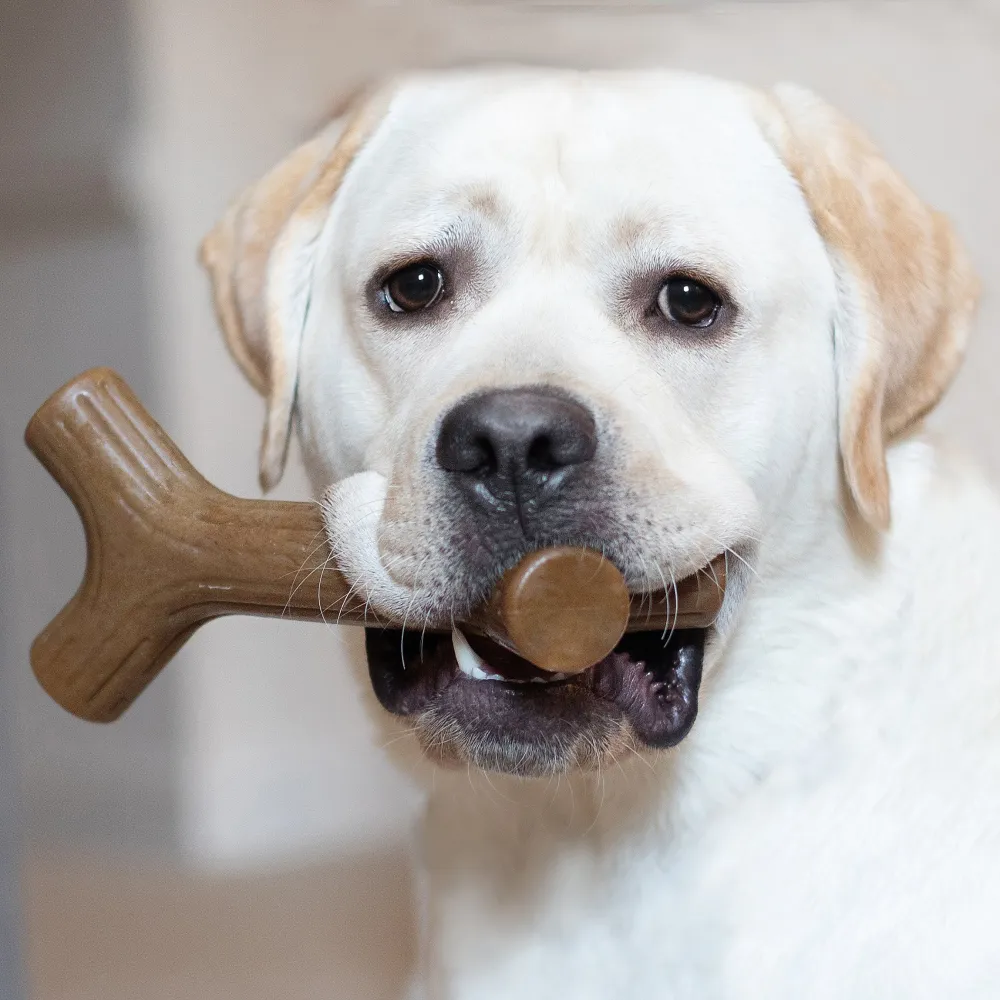 Benebone Bacon Flavored Stick Chew Toy for Dogs