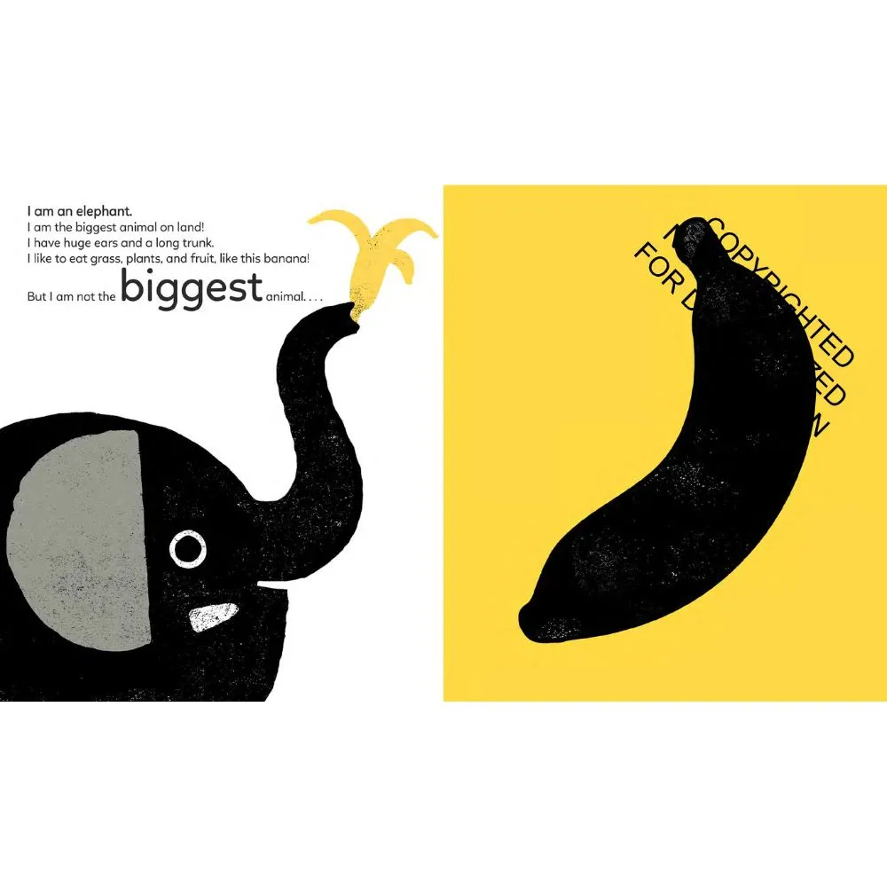 Big, Bigger, Biggest by Xavier Deneux