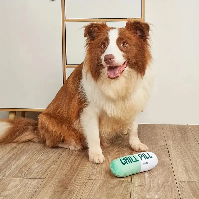 CHILL PILL PLUSH TOY – 100mg OF PURE FUN!