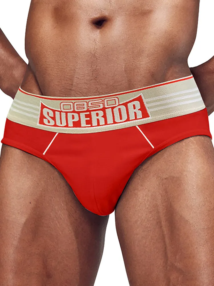 Mens Elasticated Waistband Low-rise Pouch Briefs