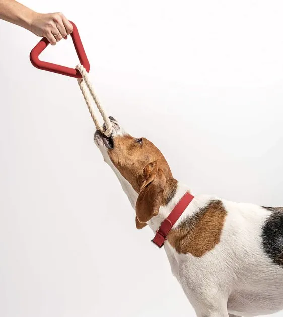 Wild One Triangle Tug Dog Chew Toy (Strawberry)