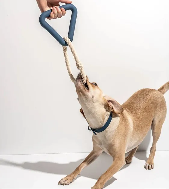 Wild One Triangle Tug Dog Chew Toy (Strawberry)